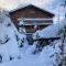 Chalet Alte Post - شوارزسي
