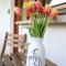 Lusht'n apartma - Žirovnica