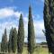 Piccolo appartamento immerso nella campagna