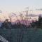 Clarens on Collett