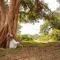Karongwe Portfolio- Shiduli Private Game Lodge - Hoedspruit