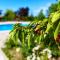 Skupljen Resort: Enjoy the Freedom!