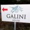 GALINI House