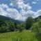 AB’s rustic cabin - Dejani