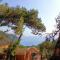 Tree Houses Hotel - Fethiye