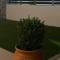 Amarynthos Maisonettes