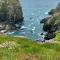 Farm accommodation - The Lizard Peninsula, Cornwall - 赫尔斯顿