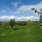 Babou Maramures