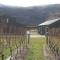 Foto: Pagan Vines Vineyard Accommodation 9/24