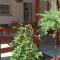 Apartmani Glorija