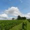 Vandenbeld Wines B&B