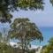 Bowerbird At Lorne - لورن
