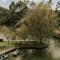 Roots Resort