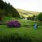 Rohrhardsberg - Stubenhof, Black Forest