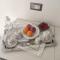 Ninfea Tropea City Rooms