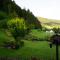 Schultiskopf - Stubenhof, Black Forest