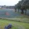 The Curragh Country House Accommodation - 纽布里奇