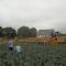 The Curragh Country House Accommodation - 纽布里奇