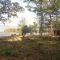 4 Bedroom Cozy Home In Rockneby