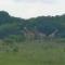 Moony’s Chalets & Camping