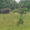 Moony’s Chalets & Camping