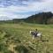 The Granary at Pentregaer Ucha, tennis court & lake. - Oswestry