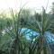 Villa Le Lanterne Pool & Relax