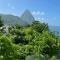 Green Fig Resort & Spa