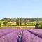 Lovely Apartment In Remoulins With Wifi
