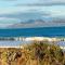 IdleWild - Secluded Absolute Beachfront Escape
