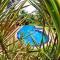 Villa Candolim