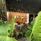 Omah Joho Guesthouse - 科贾扬