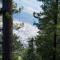 Lemon Lodges By Roomy, Nathiagali