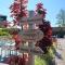 EuroParcs Schoneveld