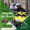 Le Vallon Vert - Club Equestre