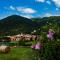 Miralago View