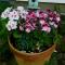 Ferienhof - Rauhenberg