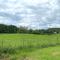 Pass the Keys Spacious 3BR Cottage in Beautiful Rural Setting - 道格拉斯堡