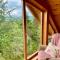 Carpathian Log Home