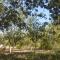 Masseria Borgo Segine - Relais nel Salento