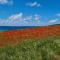 Detached Bungalow in North Cornwall