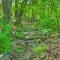 Renovated Studio on 5 Acres - Near Vineyards! - Crozet