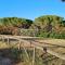 Villa vista pineta - 90 mt dalla spiaggia - Budoni