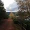Sabie Star