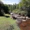 Sabie Star