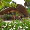 Bice Camp Darocotan - 爱妮岛