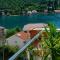 Vacation home with Private heated Pool - Zaton
