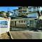 42 Ramsgate palms