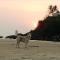 Red Rock Arambol Beach