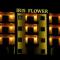 Iris Flower Hotel - Джеззін